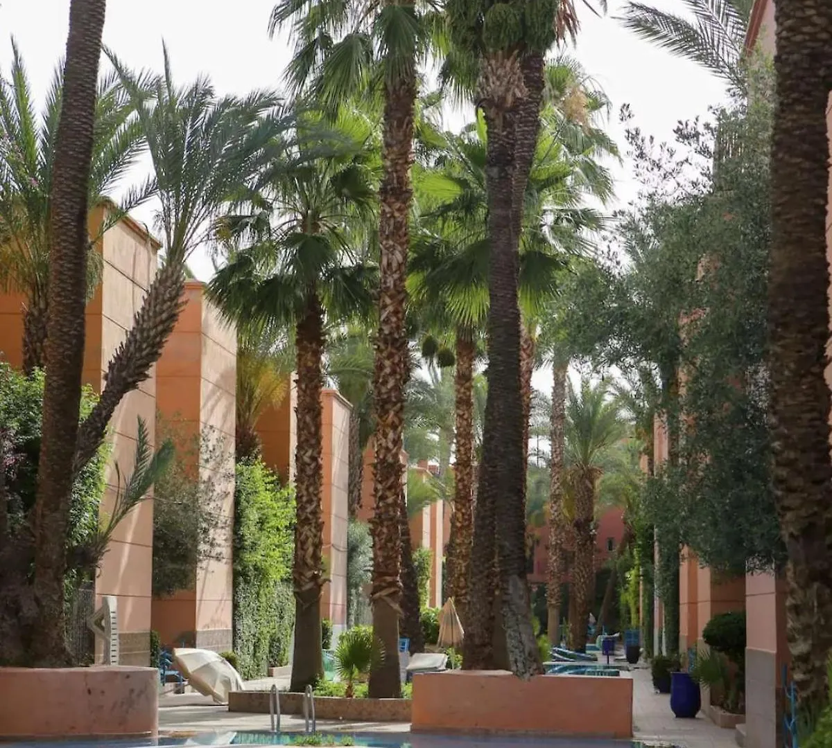 Daire Palm Residence Marakeş